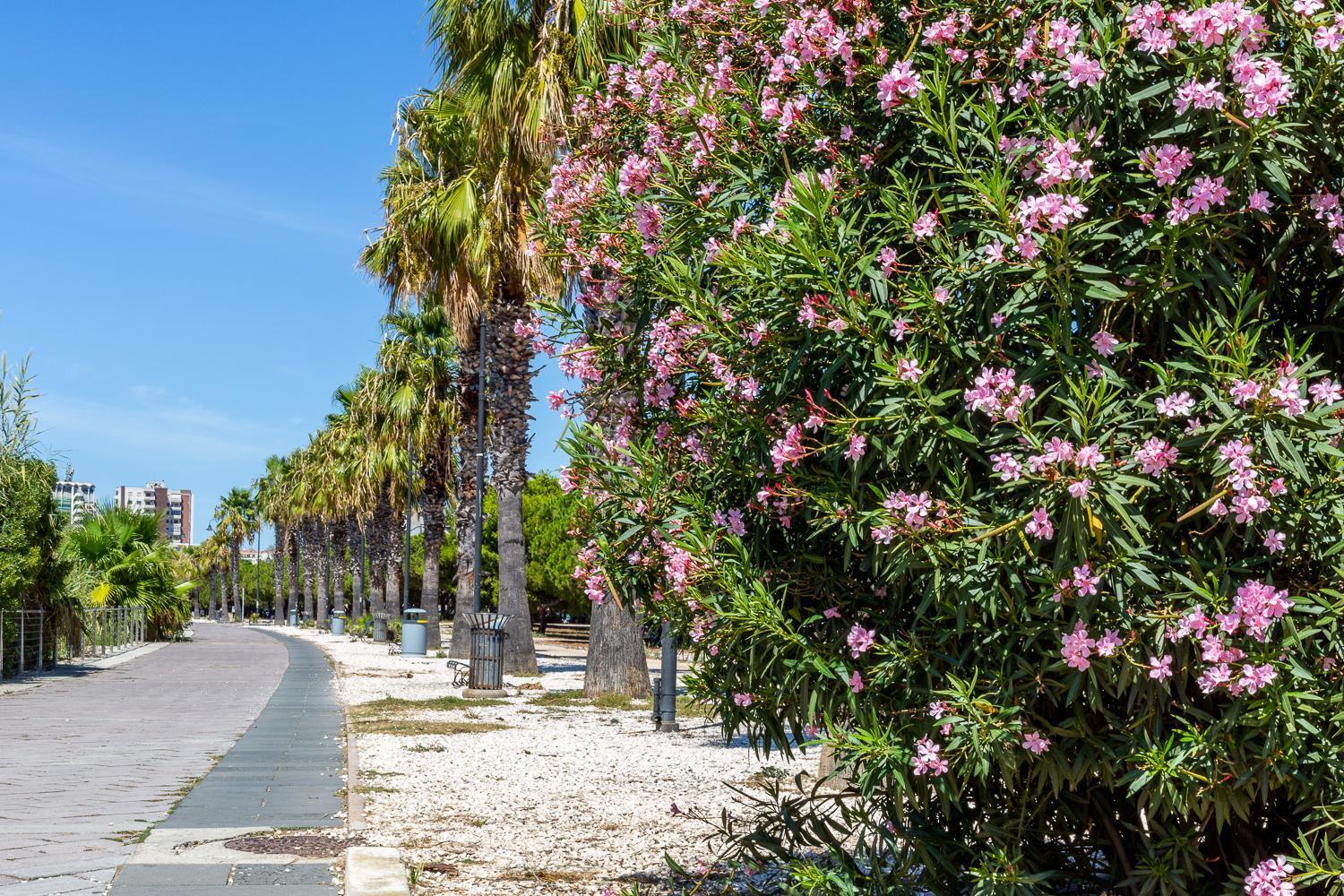 Sunichele Luxury Apartment Κάλιαρι Εξωτερικό φωτογραφία
